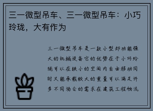 三一微型吊车、三一微型吊车：小巧玲珑，大有作为