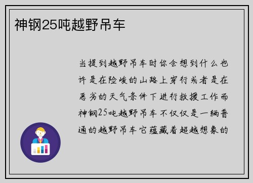神钢25吨越野吊车