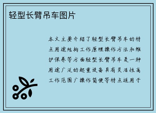 轻型长臂吊车图片